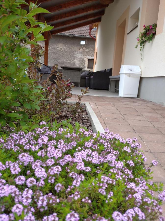 Apartmány Opolany Exterior foto